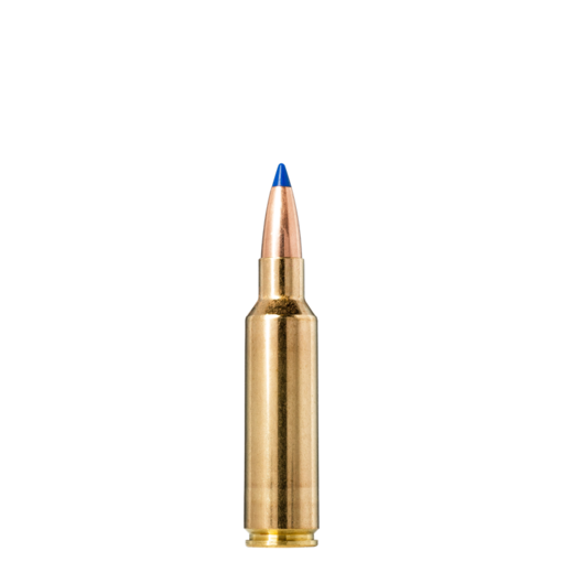 Norma Precision Norma Bondstrike Extreme .300 Winchester Short Magnum 180gr