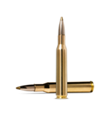 Norma Precision Norma EVOSTRIKE .270 Winchester 96gr