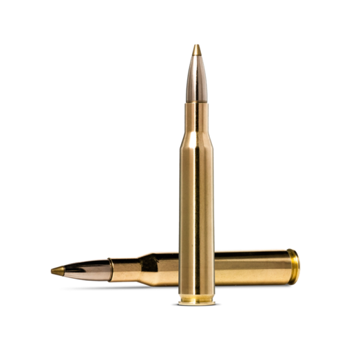 Norma Precision Norma EVOSTRIKE .270 Winchester 96gr