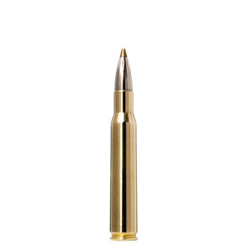 Norma Precision Norma EVOSTRIKE 30-06 Springfield 139gr