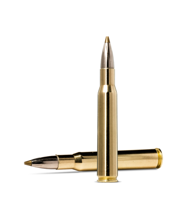 Norma Precision Norma EVOSTRIKE 30-06 Springfield 139gr