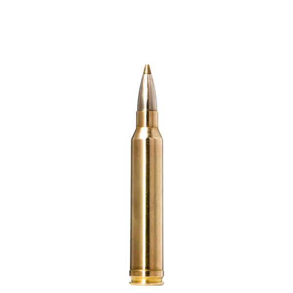 Norma EVOSTRIKE .300 Winchester Magnum 139 gr