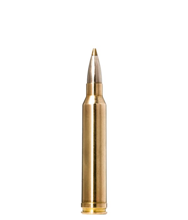 Norma Precision Norma EVOSTRIKE .300 Winchester Magnum 139 gr