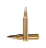 Norma Precision Norma EVOSTRIKE .300 Winchester Magnum 139 gr