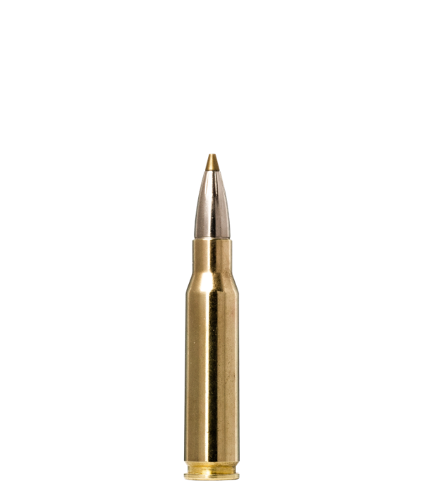 Norma Precision Norma EVOSTRIKE .308 Winchester 139g