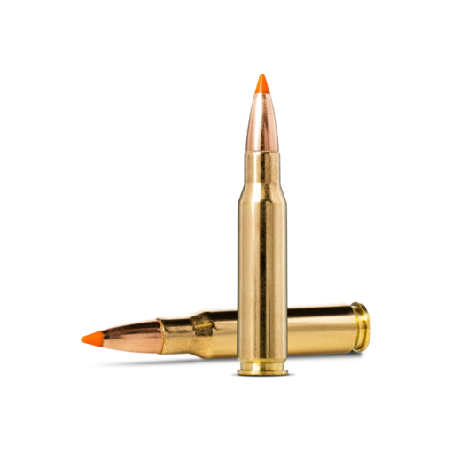 Norma Precision Norma TIPSTRIKE .308 Winchester 170gr