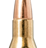 Norma Precision Norma TIPSTRIKE .308 Winchester 170gr