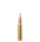 Norma Precision Norma TIPSTRIKE .308 Winchester 170gr