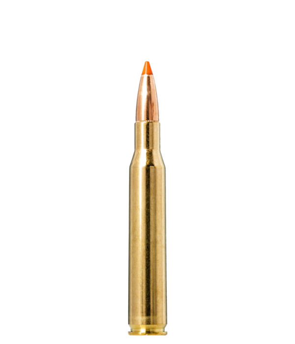 Norma Precision Norma TIPSTRIKE .280 Remington 160gr