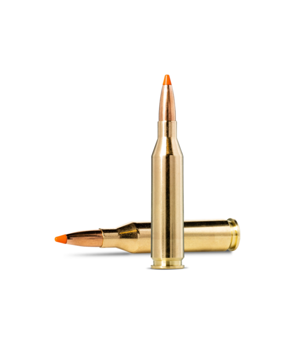 Norma Precision Norma TIPSTRIKE Varmint .243 Winchester 76gr