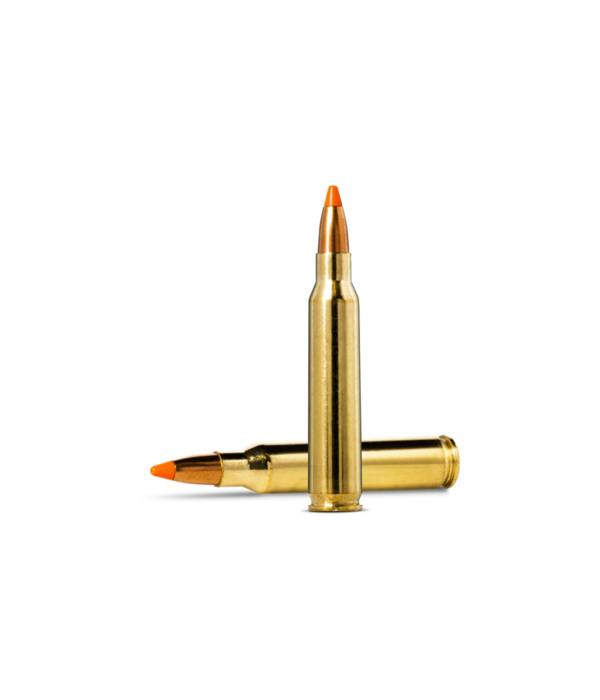 Norma Precision Norma TIPSTRIKE Varmint .223 Remington 55gr