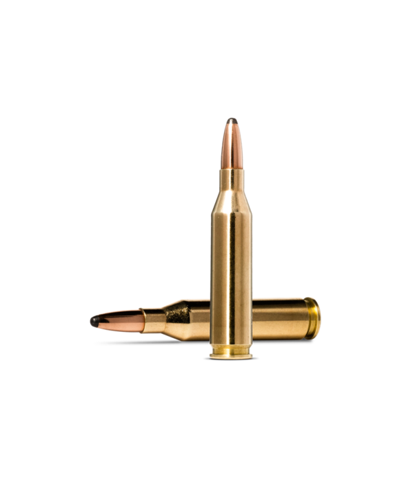 Norma Precision Norma Whitetail .243 Winchester 100 gr