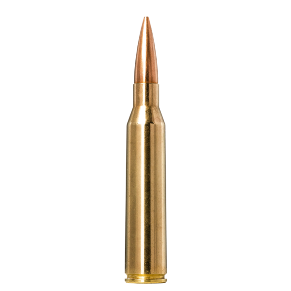 Norma Golden Target 338 Lapua Mag 250gr