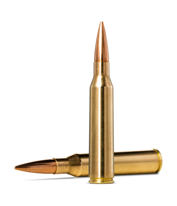 Norma Precision Norma Golden Target 338 Lapua Mag 250gr