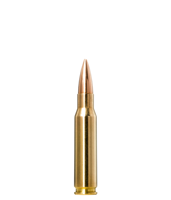 Norma Precision Norma Golden Target .308 Winchester 175gr