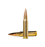 Norma Precision Norma Golden Target .308 Winchester 175gr