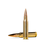 Norma Precision Norma Golden Target .308 Winchester 168gr