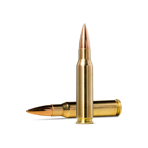 Norma Precision Norma Golden Target .308 Winchester 168gr