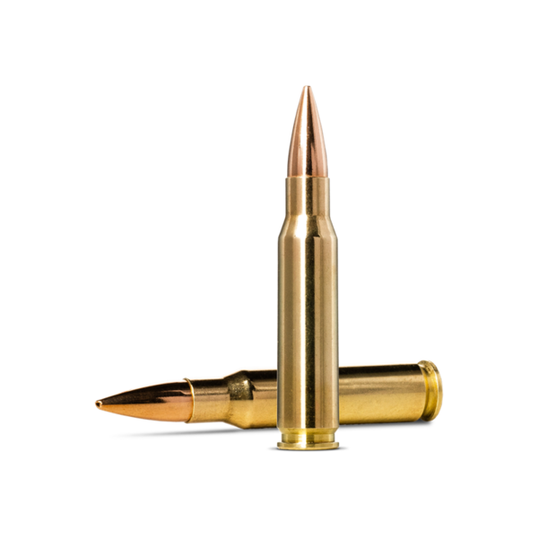 Norma Golden Target .308 Winchester 168gr