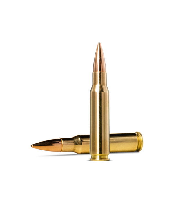 Norma Precision Norma Golden Target .308 Winchester 168gr
