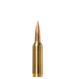 Norma Precision Norma Golden Target 6,5 PRC 143gr