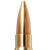 Norma Precision Norma Golden Target 223 Remington 69gr