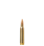 Norma Precision Norma Golden Target 223 Remington 69gr