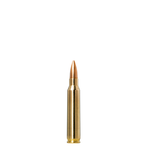 Norma Precision Norma Golden Target 223 Remington 69gr