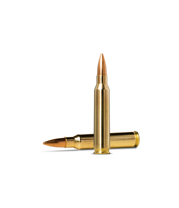 Norma Precision Norma Golden Target 223 Remington 69gr