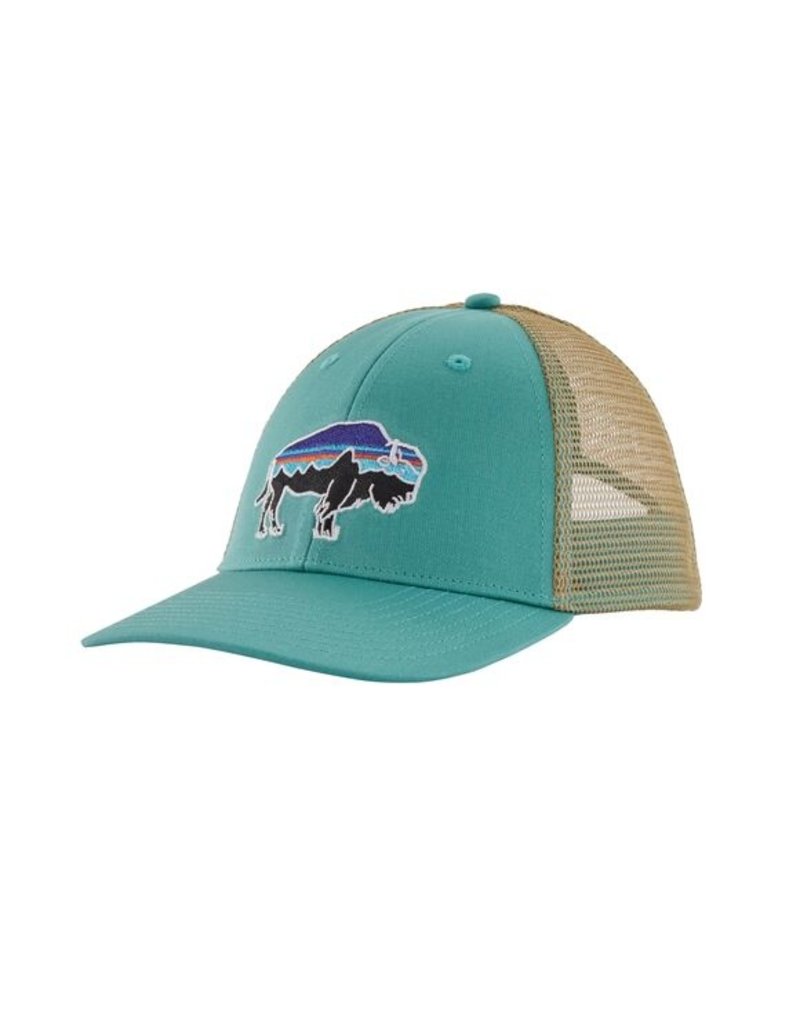 patagonia lopro trucker hat fitz roy