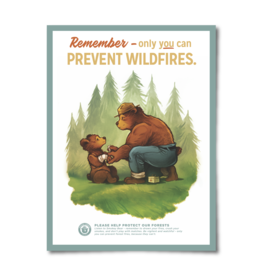Landmark Project Prevent Wildfires - Poster
