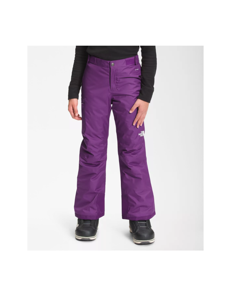 NWT Womens The North Face Freedom Insulated Waterproof Snow Ski Pants -  Purple