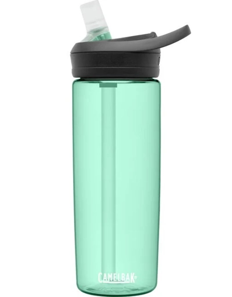 CamelBak eddy+ 20oz