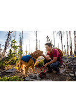 Ruffwear Front Range Day Pack