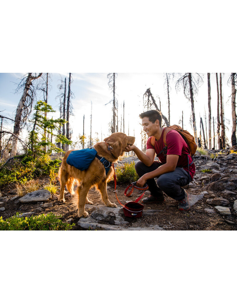 Ruffwear Front Range Day Pack