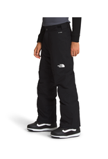 The North Face Boys' Freedom Insulated Pant
