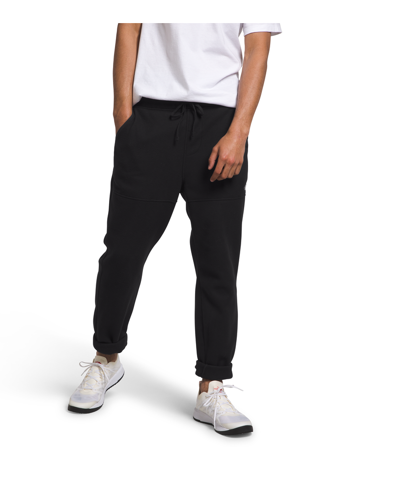 The North Face Men's Alpine Polartec 100 Pant