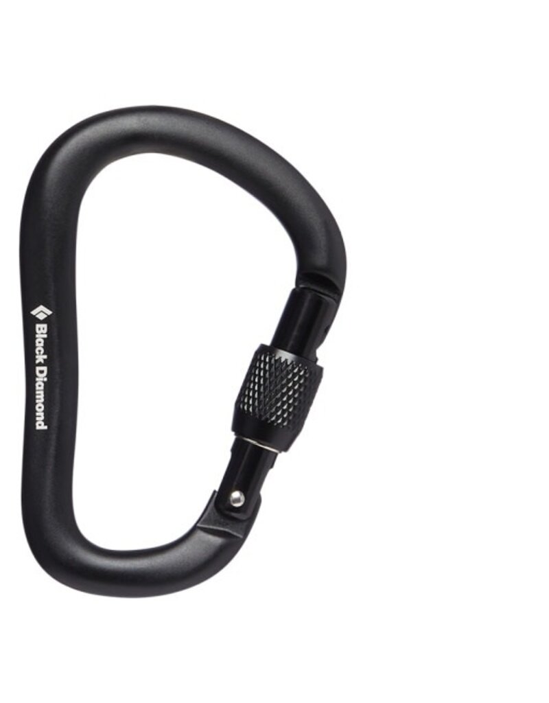 Black Diamond Equipment - NA ROCKLOCK SCREWGATE CARABINER