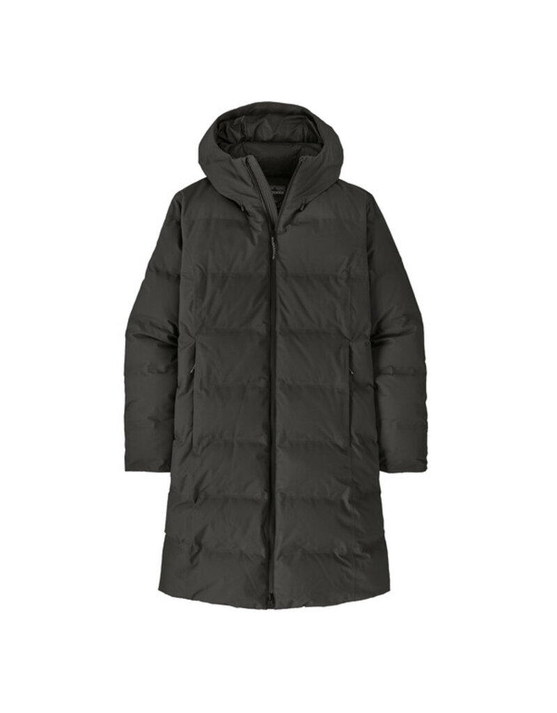 Patagonia W's Jackson Glacier Parka