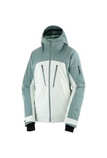 Salomon Brilliant Jacket Wm