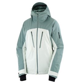 Salomon Brilliant Jacket Wm