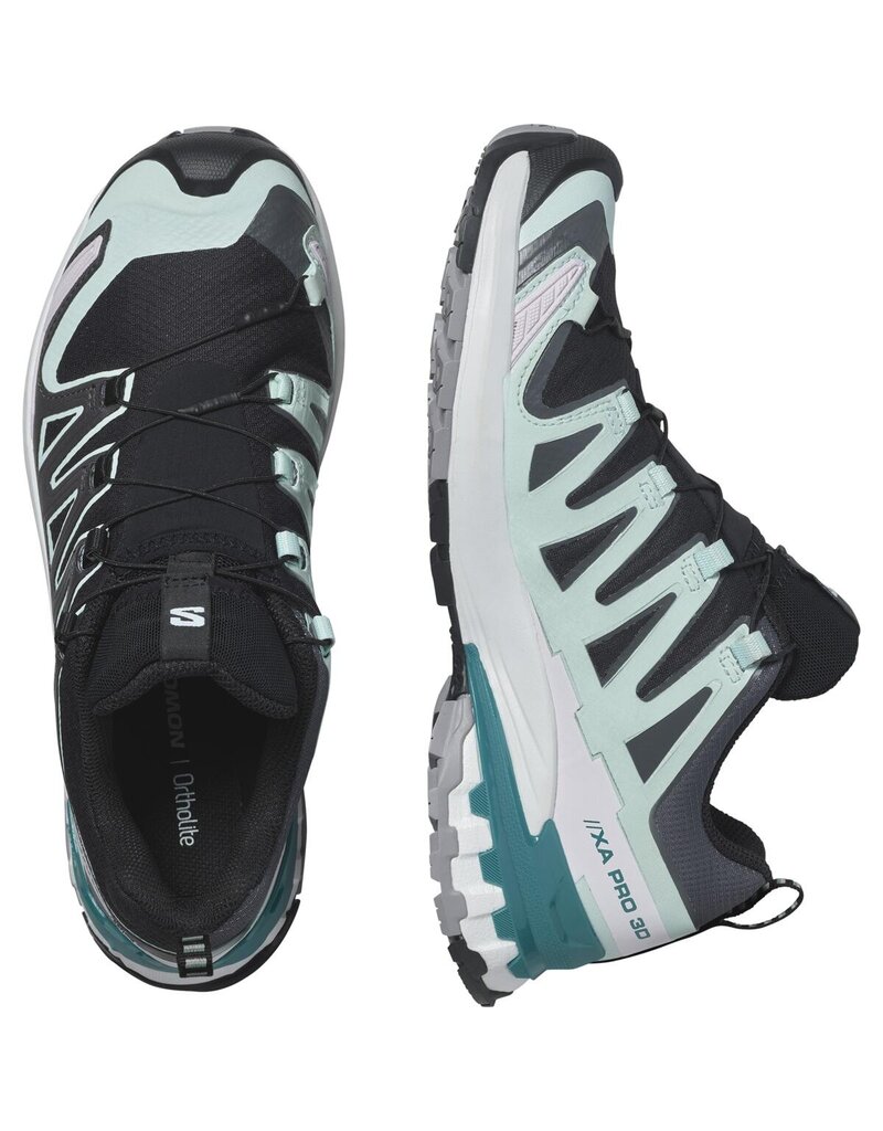 Salomon SHOES XA PRO 3D V9 GTX W
