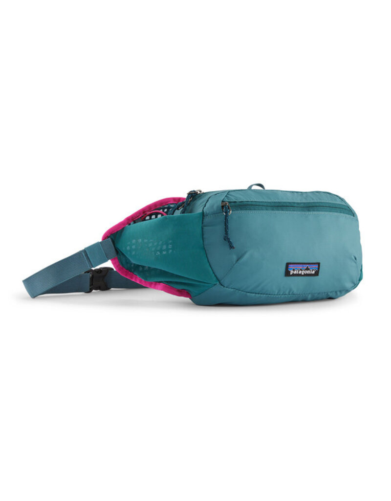 Patagonia Terravia Hip Pack