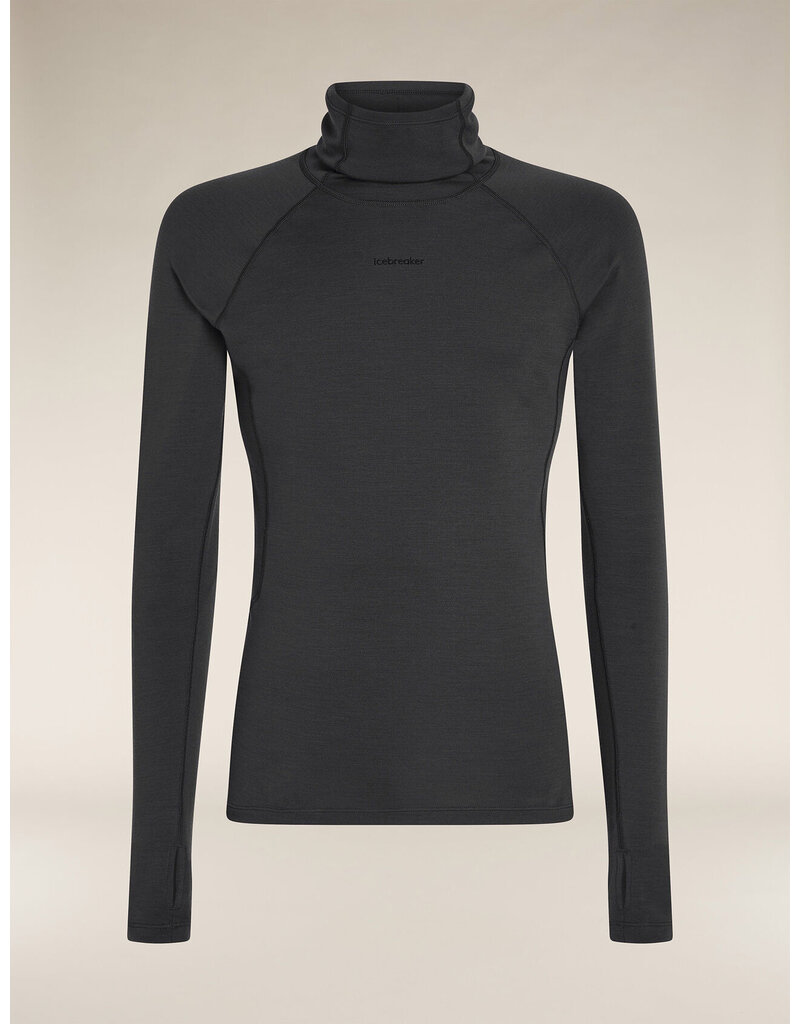 Icebreaker Men 300 MerinoFine Polar LS Roll Neck