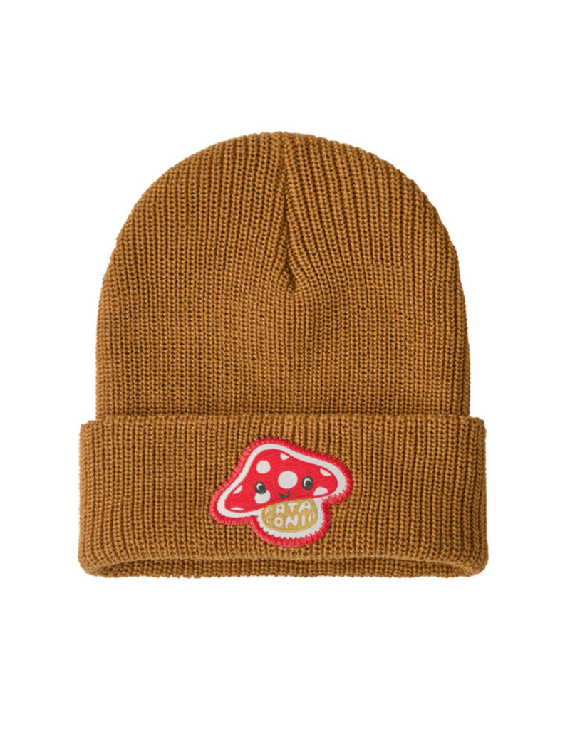 Patagonia K's Logo Beanie