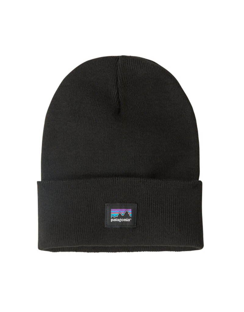 Patagonia Everyday Beanie