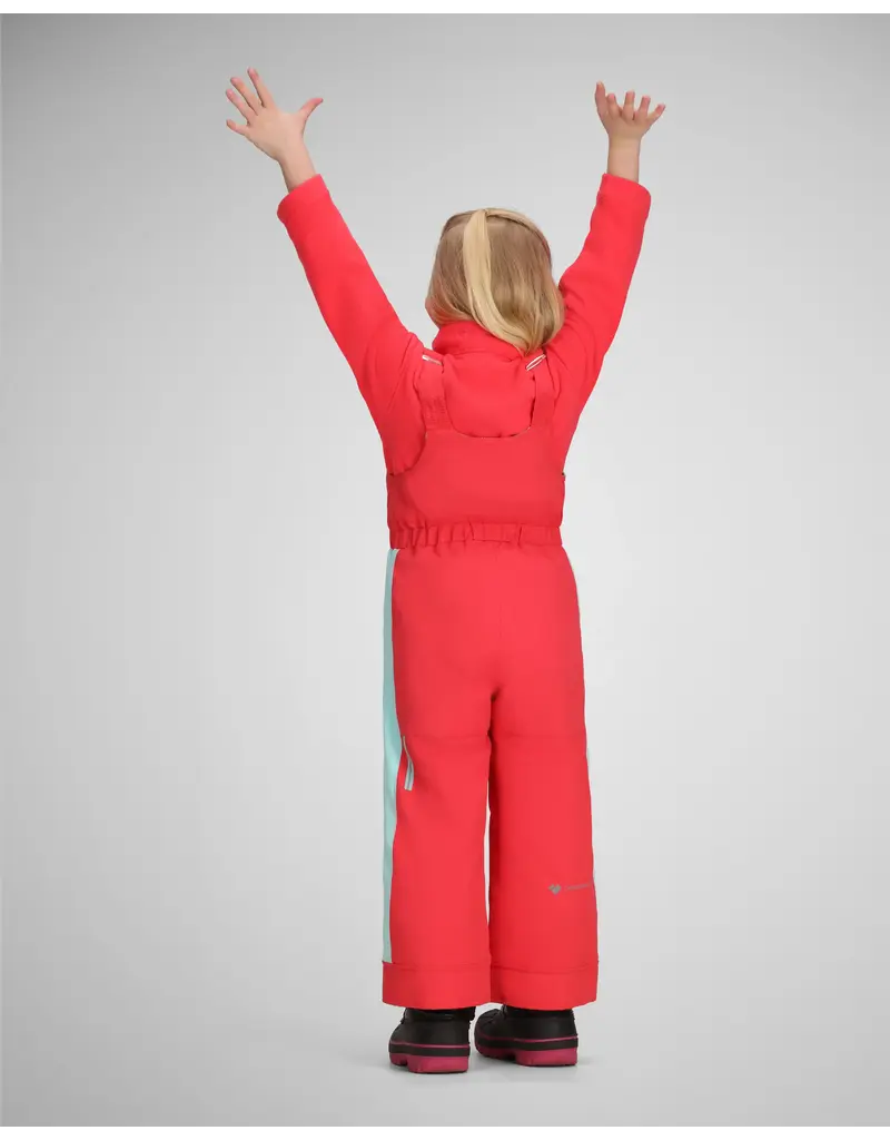 Obermeyer Snoverall Stripe Bib Pant