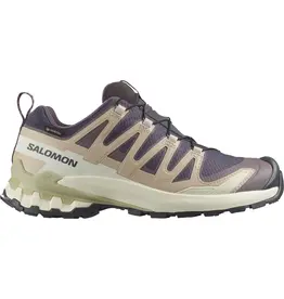Salomon XA PRO 3D V9 GTX WM