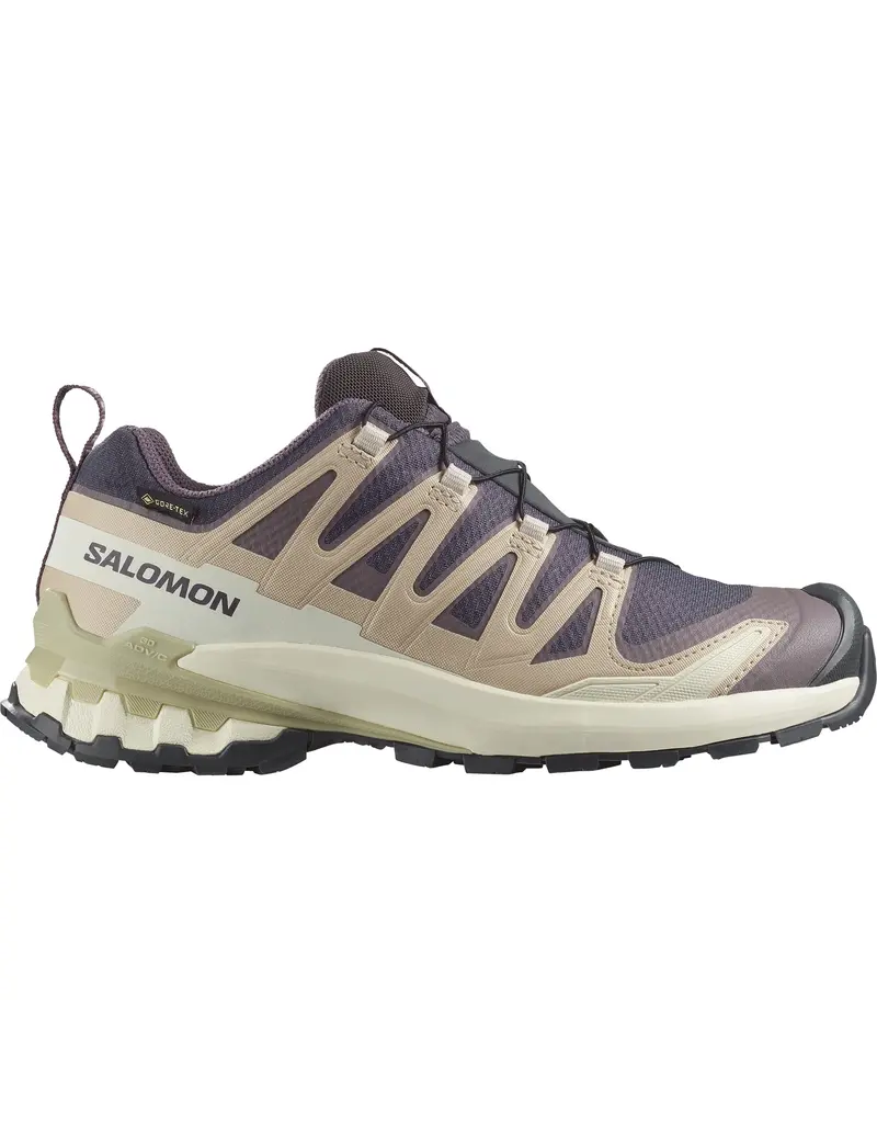 Salomon XA PRO 3D V9 GTX WM