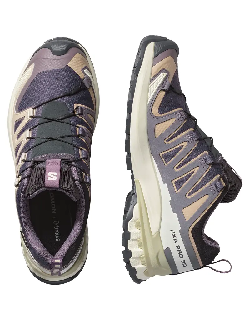 Salomon XA PRO 3D V9 GTX WM